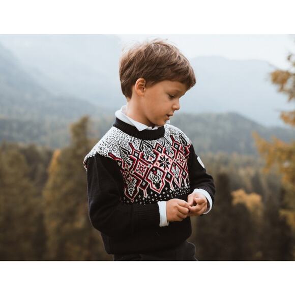 Dale Of Norway Boy's Blue White Red 100% Merino Wool Winterland Sweater Size 4 - Picture 1 of 8